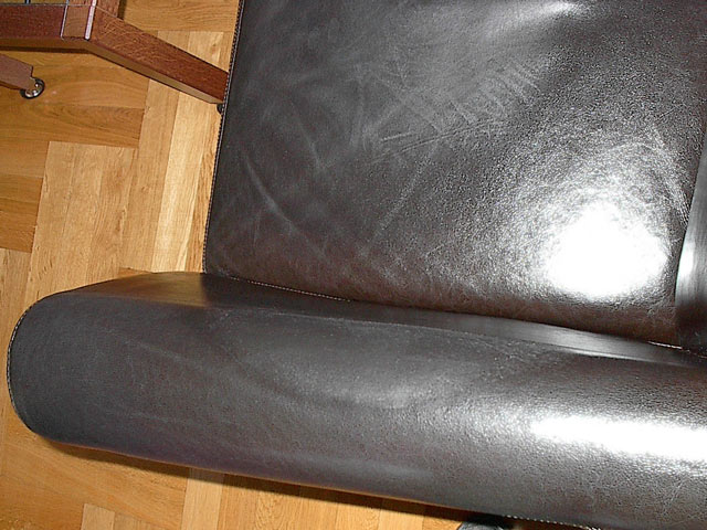 Bestand:PU-Kopf-003.jpg