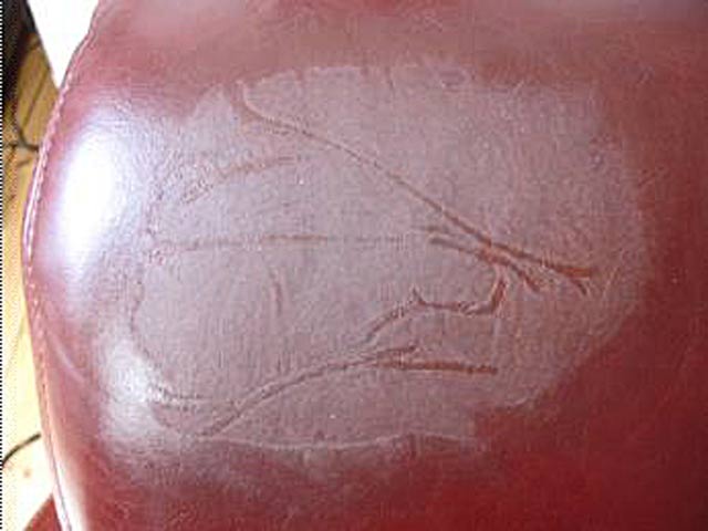 Bestand:PU-Kopf-005.jpg