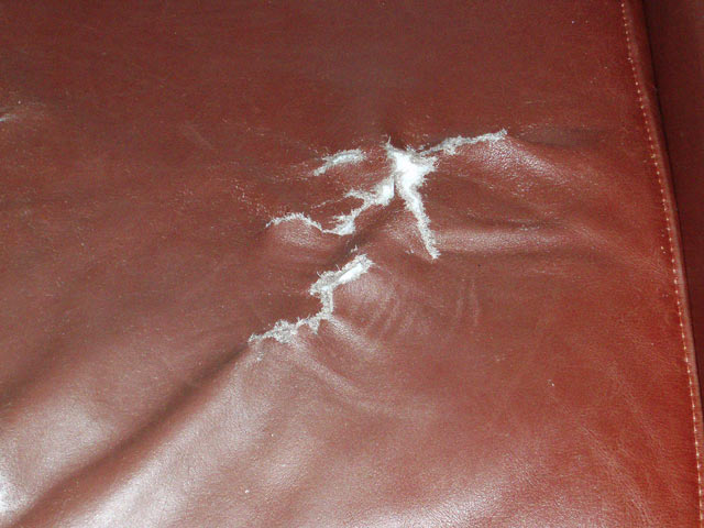 Bestand:PU-bricht-005.jpg