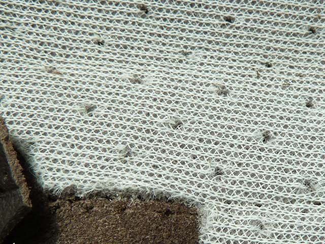 Bestand:Perforation-Kaschierung-002.jpg