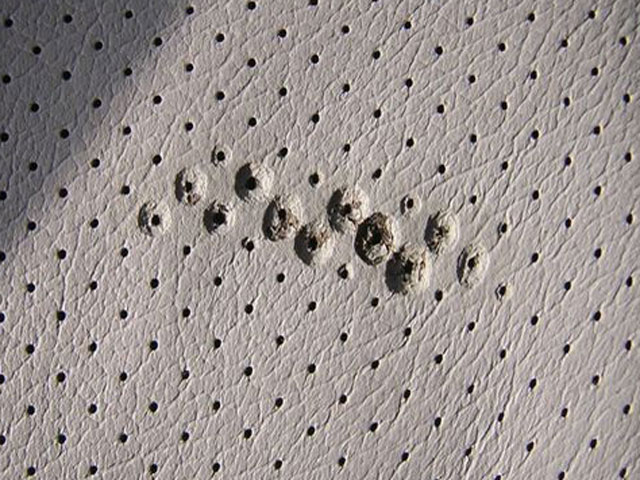 Bestand:Perforation-Vogelkot-vorher-01.jpg