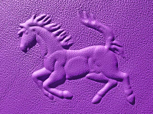 Bestand:Pferd-11.jpg