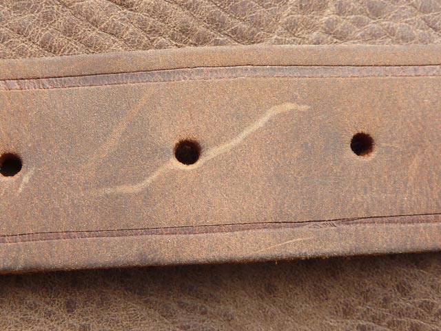 Bestand:Pull-Up-Riemen-02.jpg