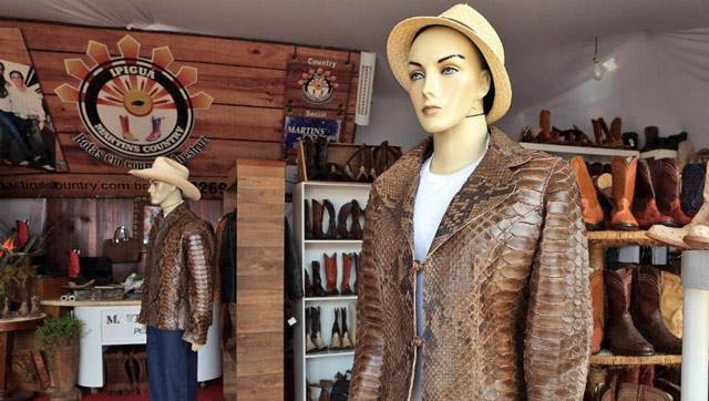 Bestand:Pythonlederjacke-02.jpg