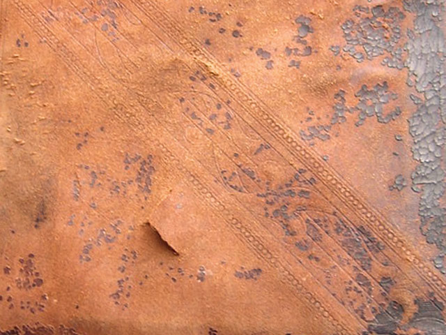 Bestand:Red-rot-01.jpg