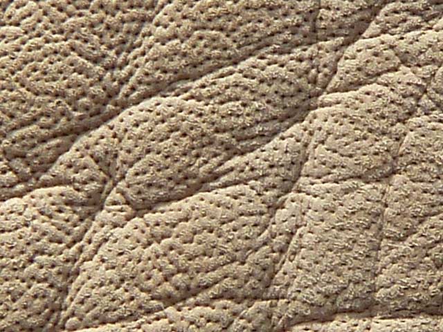 Bestand:Robbenleder-005.jpg