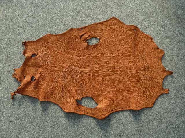 Bestand:Robbenleder-01.jpg