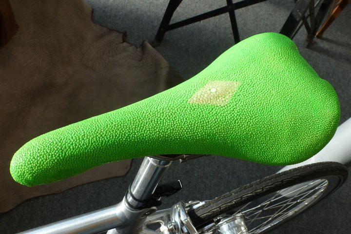 Bestand:Rochen-Fahrradsattel-01.jpg