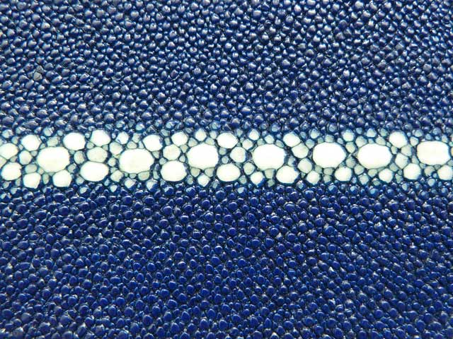 Bestand:Rochenleder-004.jpg