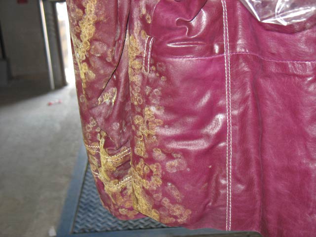 Bestand:Schimmel-Jacke-Schweinsleder-Kontainer-01.jpg