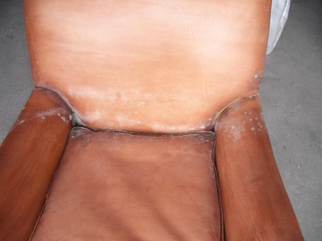 Bestand:Schimmel-Möbel-03.jpg