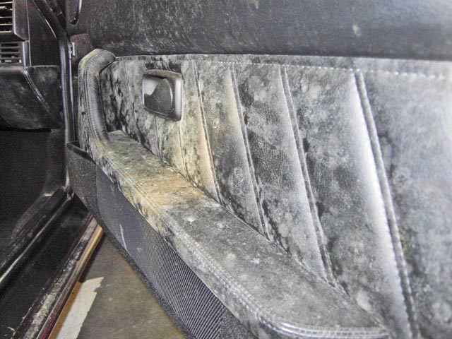 Bestand:Schimmel-Porsche-02-2010-12.jpg