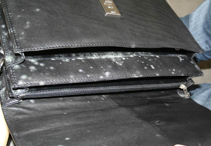 Bestand:Schimmel-Tasche-Kontainer-01.jpg