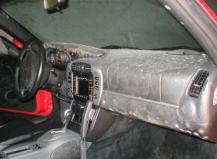 Bestand:Schimmel1.jpg