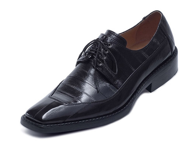 Bestand:Schuh-Aalleder-Jacob-01.jpg