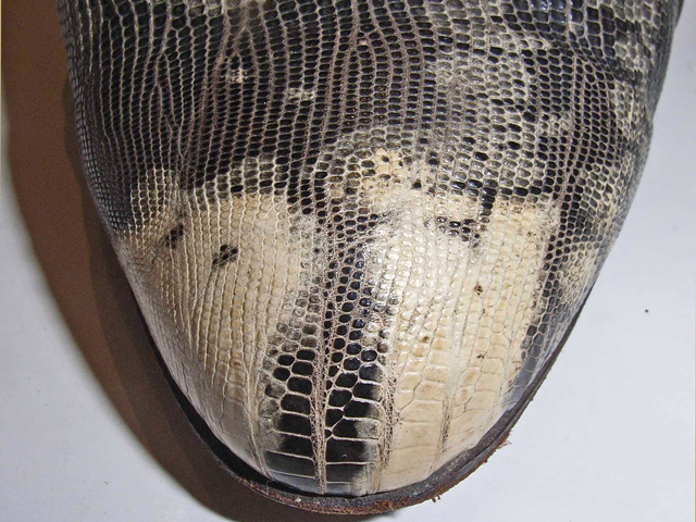 Bestand:Schuh-Echsenleder-03.jpg