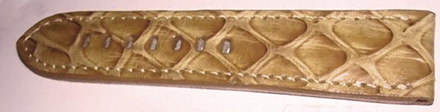 Bestand:Schuppentier-02.jpg