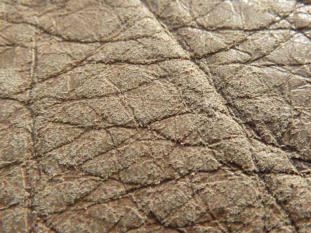 Bestand:Seminubuk-01.jpg