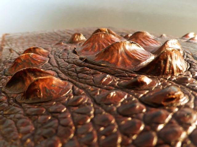 Bestand:Tasche-Kroko-Ruecken-05.jpg