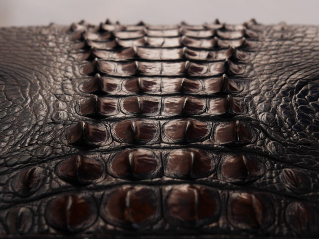 Bestand:Tasche-Kroko-Ruecken-06.jpg