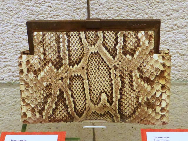 Bestand:Tigerpython-01-Ledermuseum-Offenbach.jpg