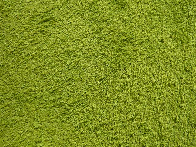 Bestand:Velour-03.jpg