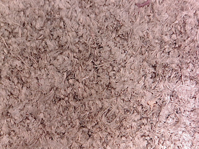 Bestand:Velour-M--013.jpg