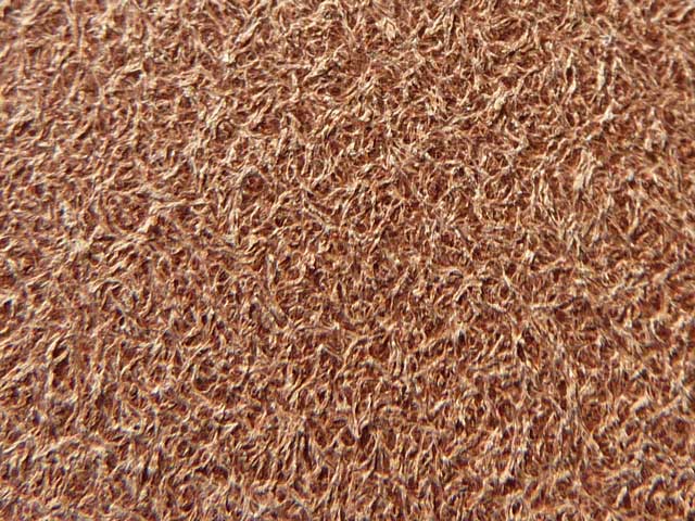 Bestand:Velour-gepresst-01.jpg