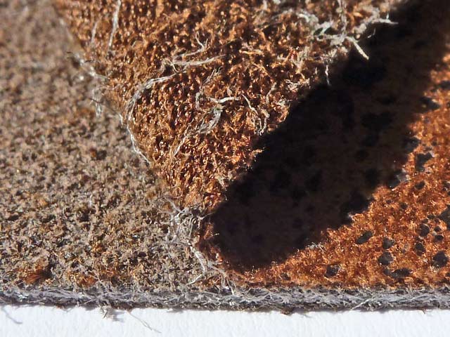 Bestand:Velours---Rodeo-02.jpg