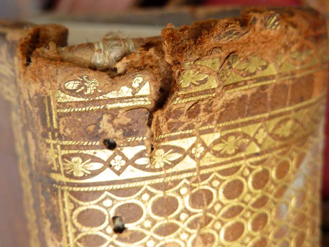 Bestand:Wurmschaden-Buch-02.jpg