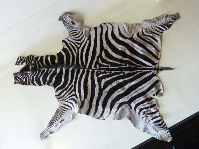 Bestand:Zebra-Fell-01.jpg
