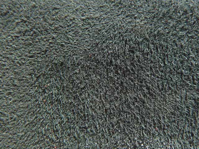 Bestand:Ziegen-Velour-01.jpg