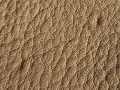 Gabelstiche-01.jpg