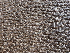 Handtasche-Haifischleder-02.jpg