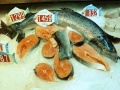 Lachs-002.jpg