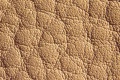 Narbe-Anilin-Poren-01.jpg