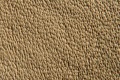 Narbe-Anilin-Poren-08.jpg