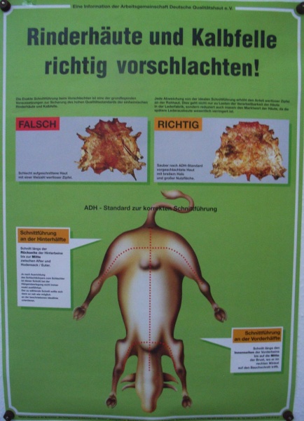 Bestand:Poster-Haut-schneiden-001.jpg